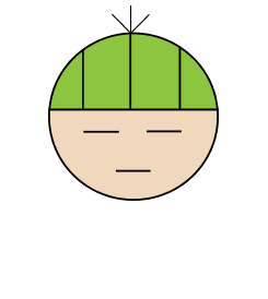 ページ上部に戻るボタン